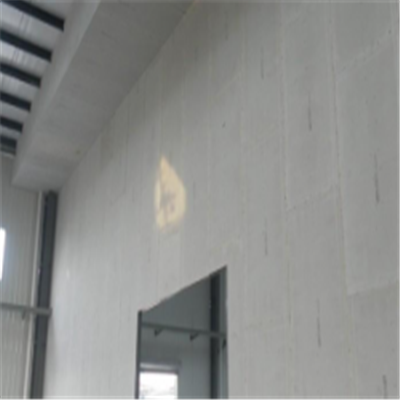 洞头宁波ALC板|EPS加气板隔墙与混凝土整浇联接的实验研讨